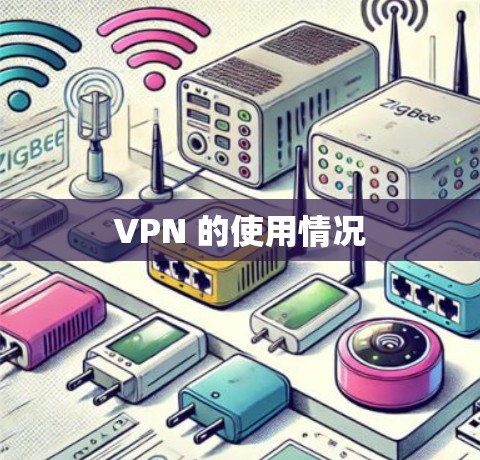 VPN 的使用情况