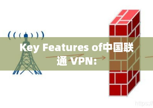 Key Features of中国联通 VPN: