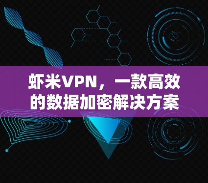 虾米VPN,一款高效的数据加密解决方案 虾米VPN,一款高效的数据加密解决方案