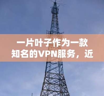 一片叶子作为一款知名的VPN服务,近年来在技术上也有所突破。以下是对这片叶子的详细分析 一片叶子作为一款知名的VPN服务,近年来在技术上也有所突破。以下是对这片叶子的详细分析