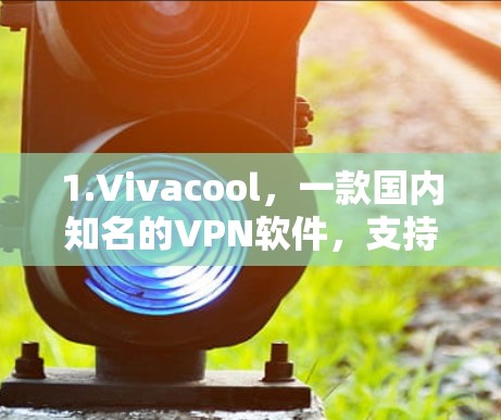 1.Vivacool，一款国内知名的VPN软件，支持多设备，功能全面，适合个人用户。界面简洁，操作简单，适合日常使用