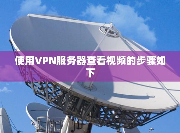 使用VPN服务器查看视频的步骤如下
