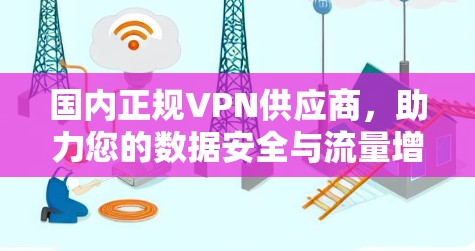 国内正规VPN供应商，助力您的数据安全与流量增长