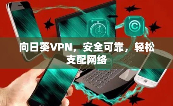 向日葵VPN，安全可靠，轻松支配网络
