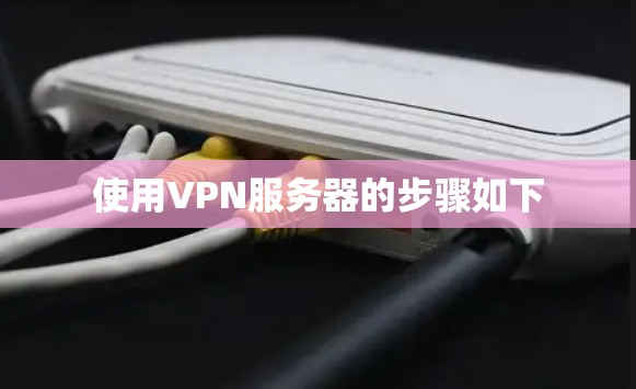 使用VPN服务器的步骤如下