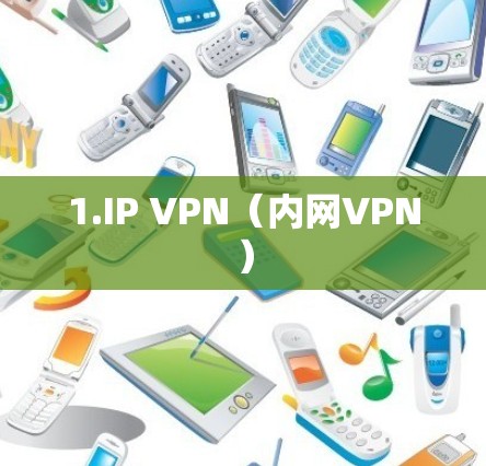 1.IP VPN(内网VPN) 1.IP VPN(内网VPN)