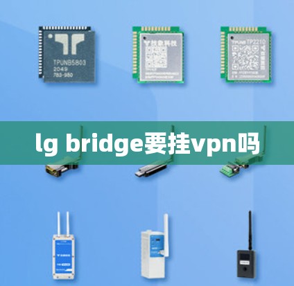 lg bridge要挂vpn吗 lg bridge要挂vpn吗