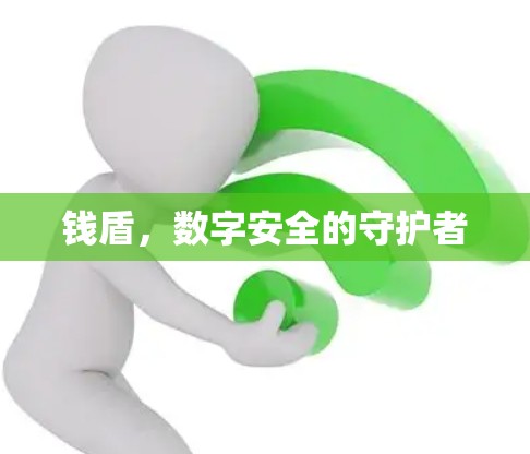 钱盾,数字安全的守护者 钱盾,数字安全的守护者