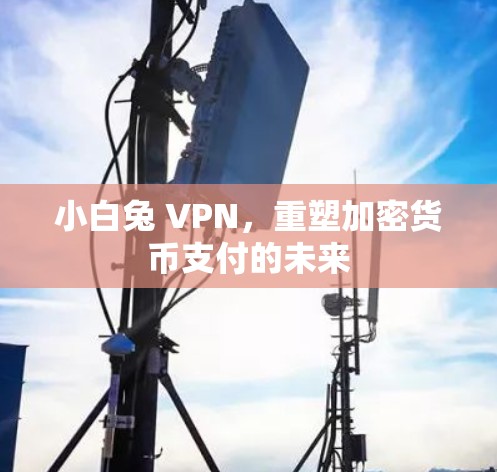 小白兔 VPN,重塑加密货币支付的未来 小白兔 VPN,重塑加密货币支付的未来