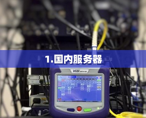 1.国内服务器 1.国内服务器