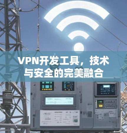 VPN开发工具，技术与安全的完美融合