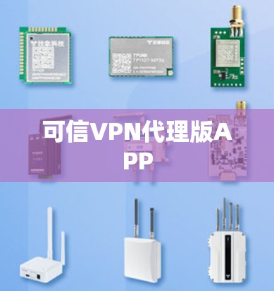 可信VPN代理版APP