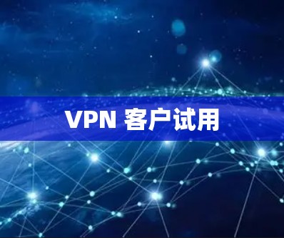 VPN 客户试用