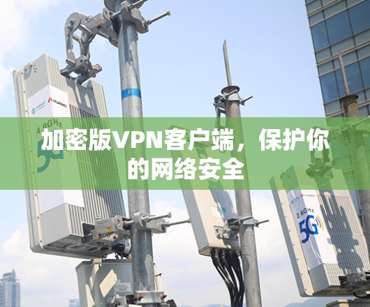 加密版VPN客户端,保护你的网络安全 加密版VPN客户端,保护你的网络安全