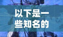 以下是一些知名的VPN公司,他们提供多种VPN服务,包括跨境加速版 以下是一些知名的VPN公司,他们提供多种VPN服务,包括跨境加速版