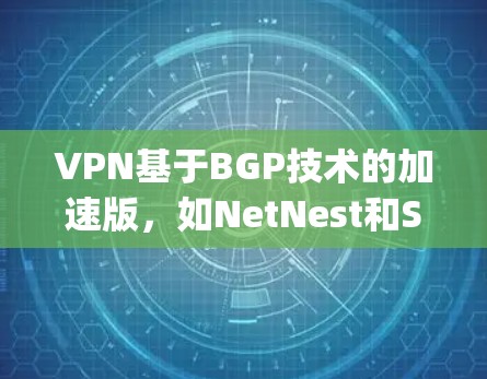 VPN基于BGP技术的加速版，如NetNest和Snyk，旨在通过依赖美国地区的服务器来提升下载速度，但也带来了较高的风险。以下是对这些VPN的详细介绍和建议
