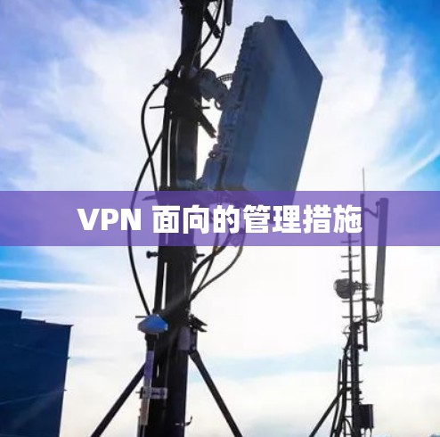 VPN 面向的管理措施