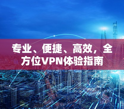 专业、便捷、高效，全方位VPN体验指南