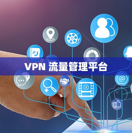 VPN 流量管理平台