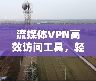 流媒体VPN高效访问工具，轻松享受流媒体