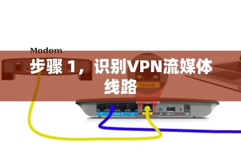 步骤 1,识别VPN流媒体线路 步骤 1,识别VPN流媒体线路