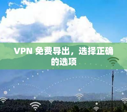 VPN 免费导出,选择正确的选项 VPN 免费导出,选择正确的选项