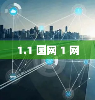 1.1 国网 1 网 1.1 国网 1 网