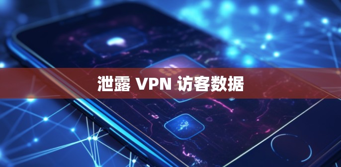 泄露 VPN 访客数据 泄露 VPN 访客数据