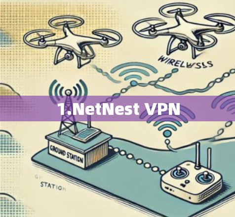 1.NetNest VPN 1.NetNest VPN