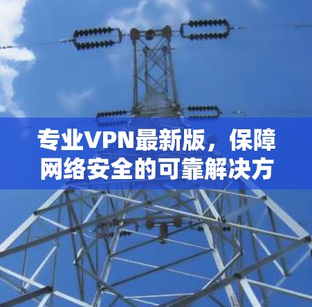 专业VPN最新版，保障网络安全的可靠解决方案