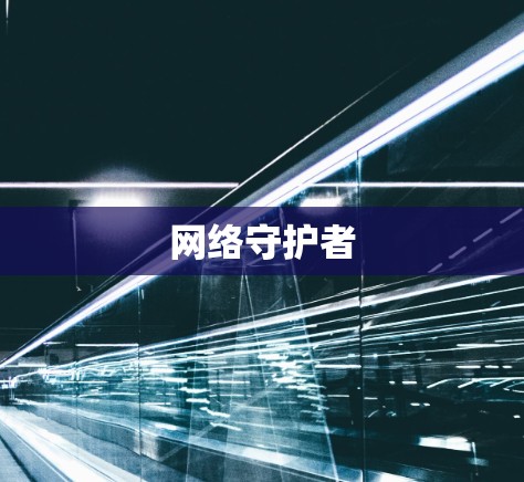 网络守护者 网络守护者