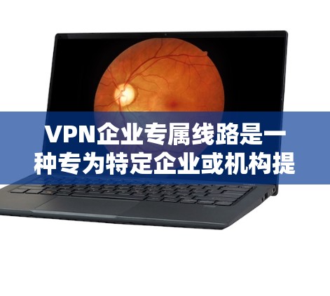 VPN企业专属线路是一种专为特定企业或机构提供的VPN服务,旨在为用户提供安全、便捷的网络访问体验。以下是对这些 VPN 连接的详细分析 VPN企业专属线路是一种专为特定企业或机构提供的VPN服务,旨在为用户提供安全、便捷的网络访问体验。以下是对这些 VPN 连接的详细分析