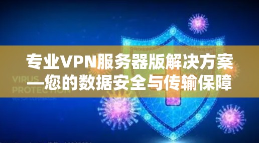 专业VPN服务器版解决方案—您的数据安全与传输保障 专业VPN服务器版解决方案—您的数据安全与传输保障