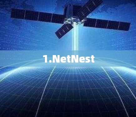 1.NetNest 1.NetNest
