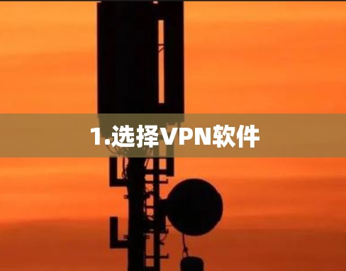 1.选择VPN软件