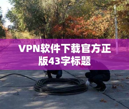VPN软件下载官方正版43字标题