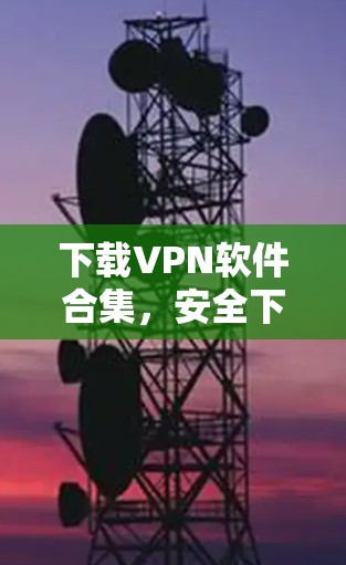 下载VPN软件合集，安全下载，放心安装